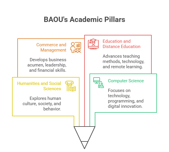 Illustration of admission under 4 schools in Babasaheb Ambedkar Open University