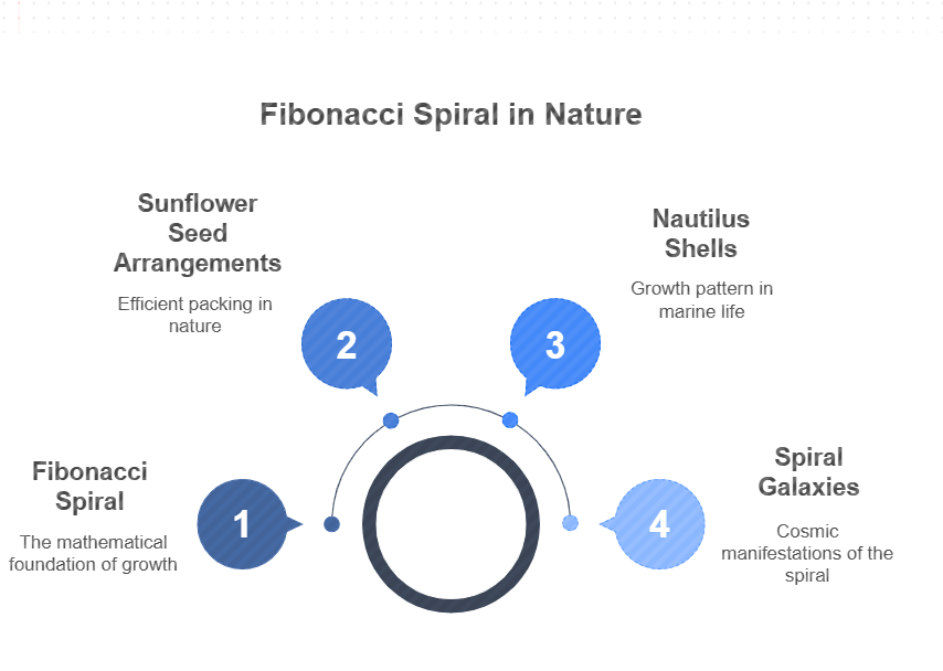 Fibonacci spiral in nature