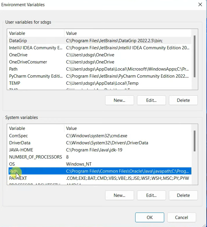 Environment Variables Path Selection