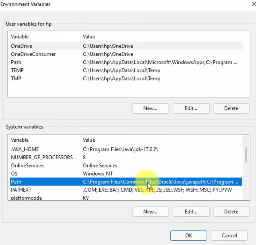 Environment Variables Path selection
