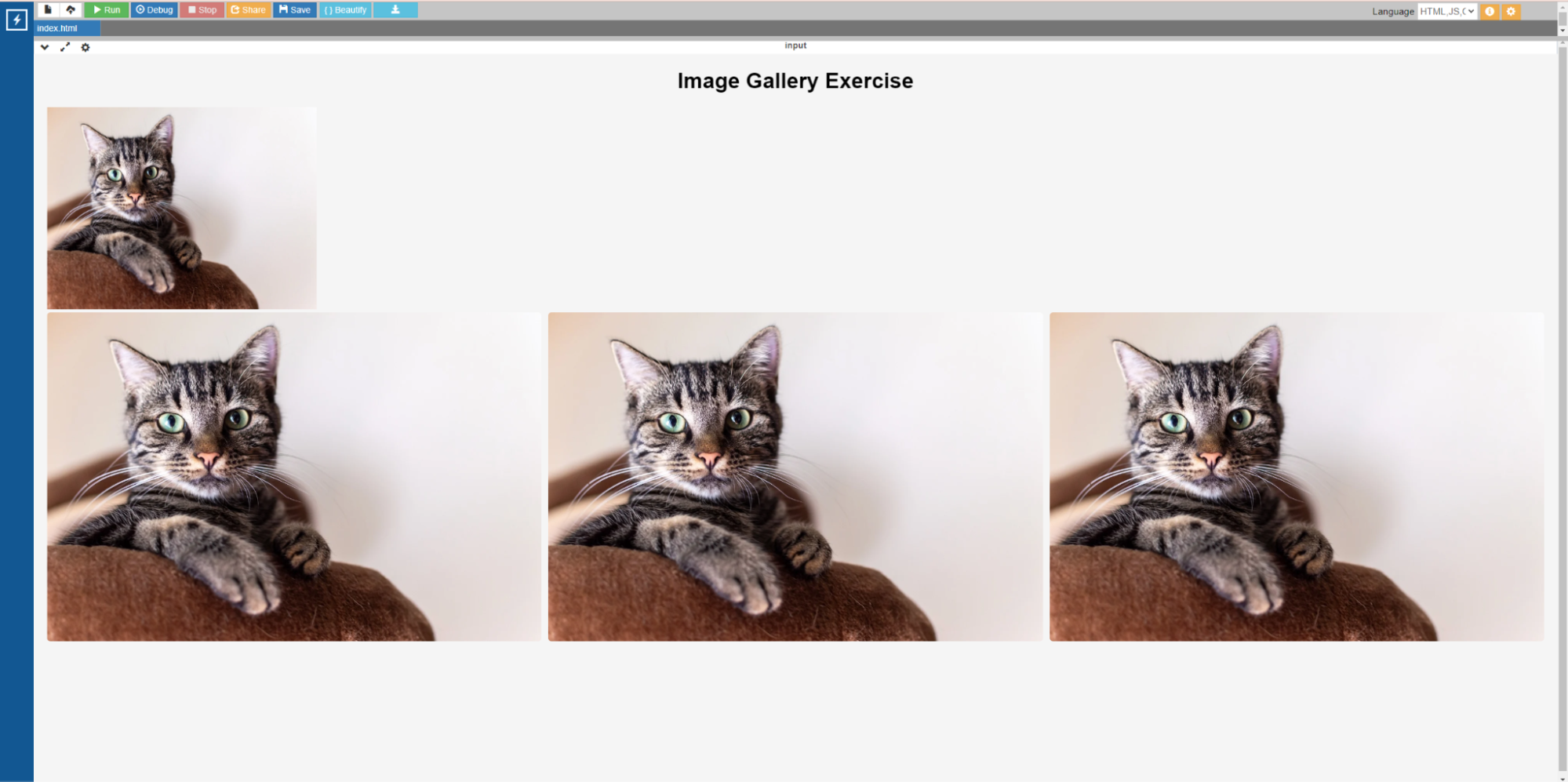 Output for HTML images