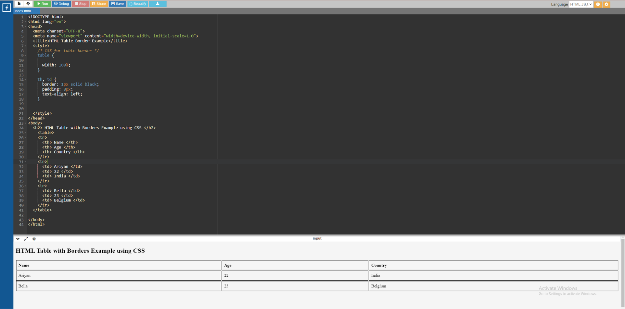 HTML table border using CSS