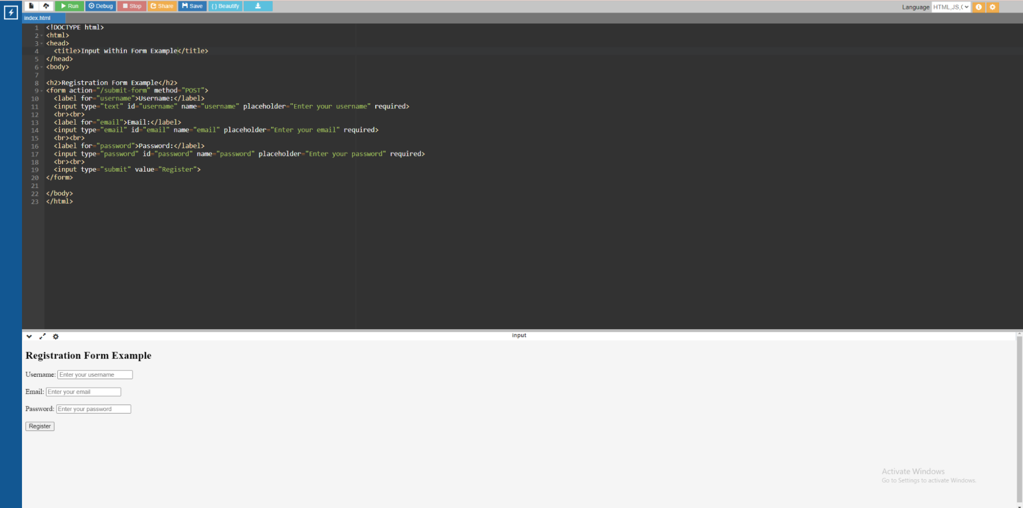 Input element example 