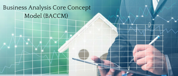 The Business Analysis Core Concept Model Baccm - 