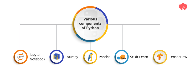 various consents of Python