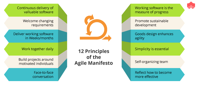 Ultimate Guide to Agile | Everything you need to know about Agile