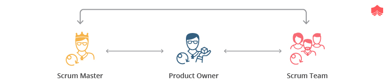 Different types of scrum roles 