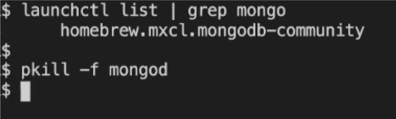 brew install mongodb directory