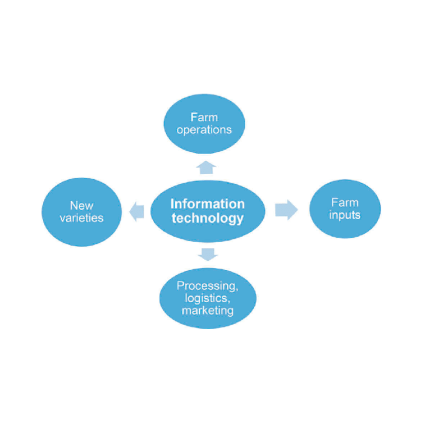 role of information technology