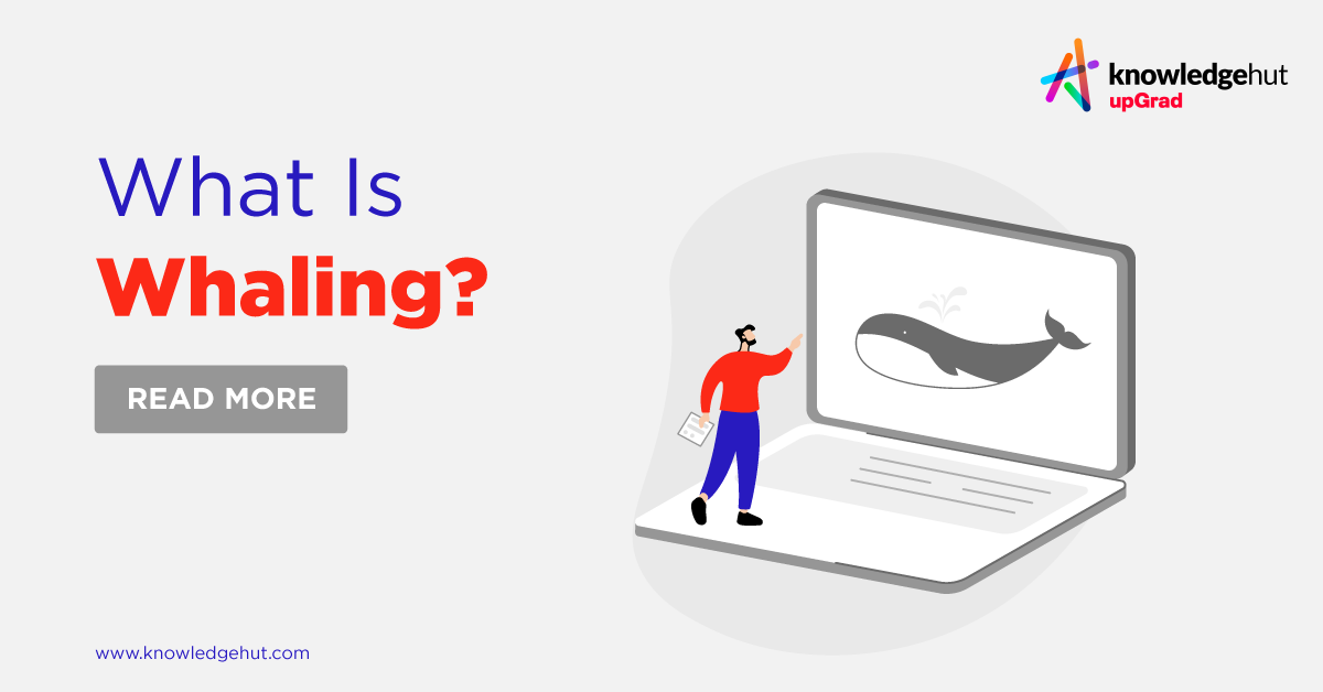 What is Whaling in Cyber Security? [Best Practices + Tips]