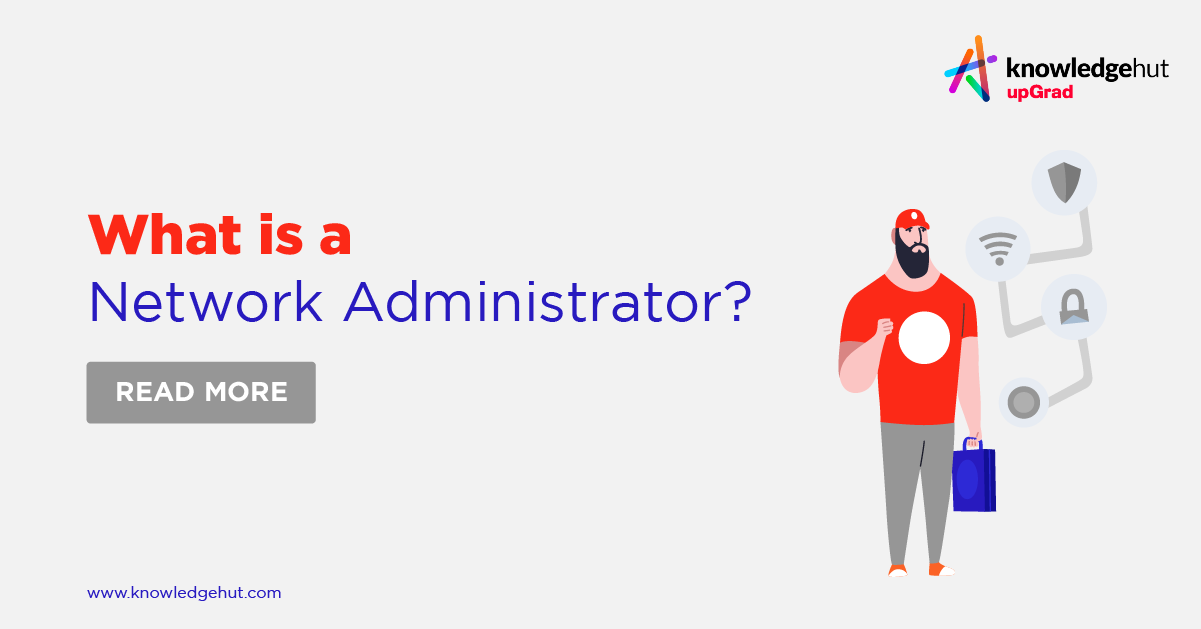 What is a Network Administrator? Skills, Roles, and Career