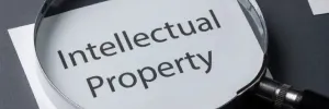 Introduction to Intellectual Property Rights